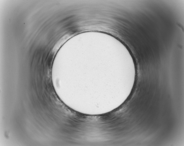X0000103471529200810100923