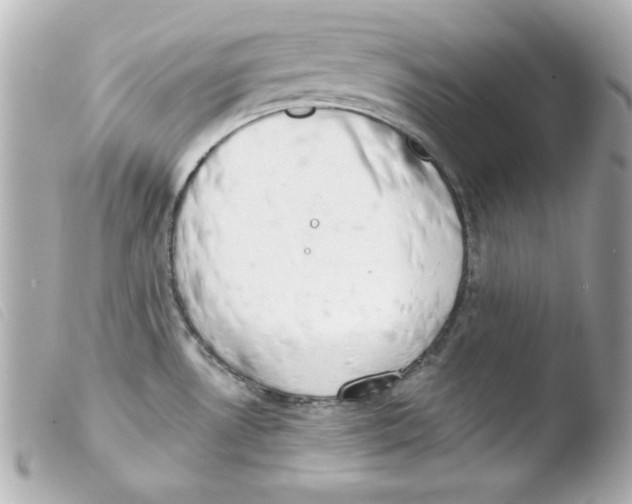 X0000103471530200810100923