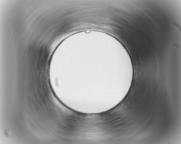 X0000103471531200810100923