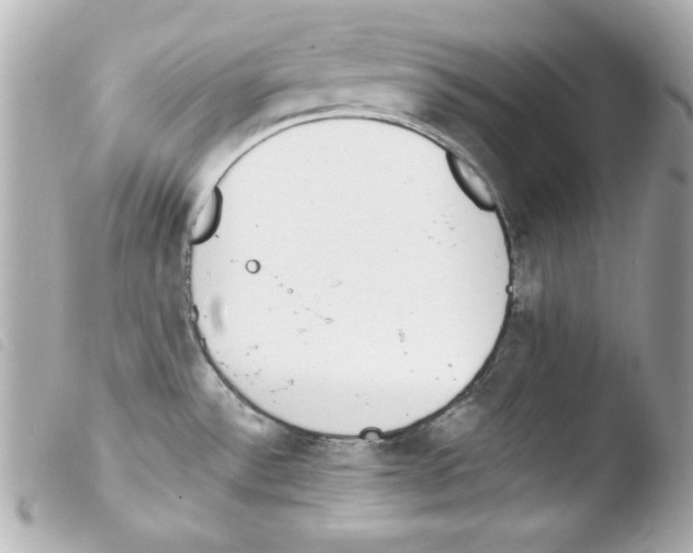 X0000103471532200810100923