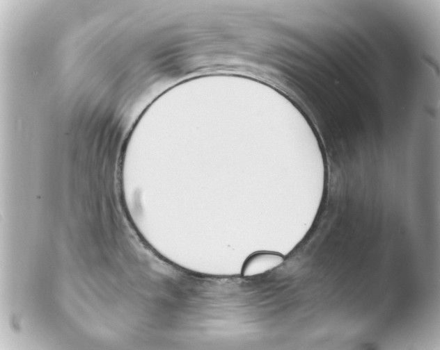 X0000103471533200810100923