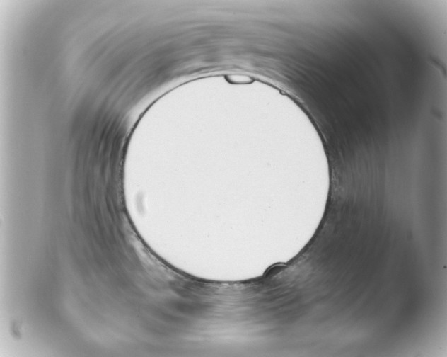 X0000103471534200810100923