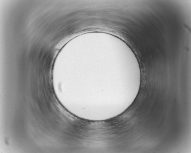 X0000103471535200810100923