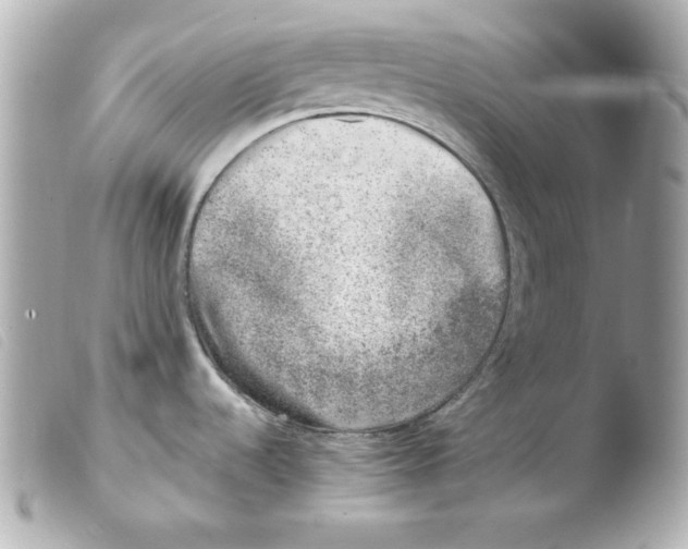 X0000103471536200810100923
