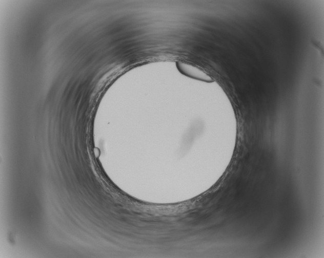 X0000103470001200810241025