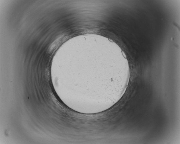 X0000103470002200810241025