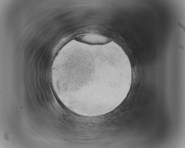 X0000103470003200810241025
