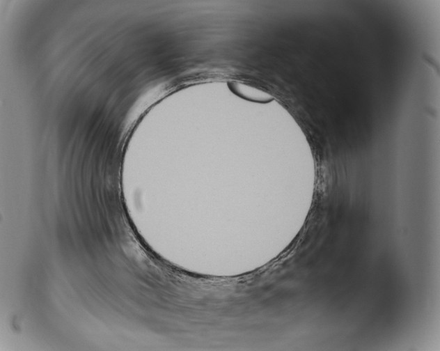 X0000103470004200810241025