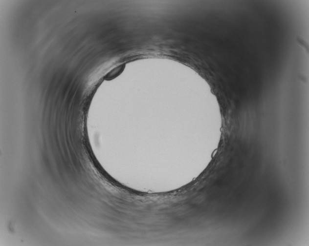 X0000103470005200810241025
