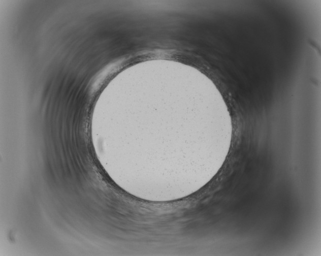 X0000103470006200810241025