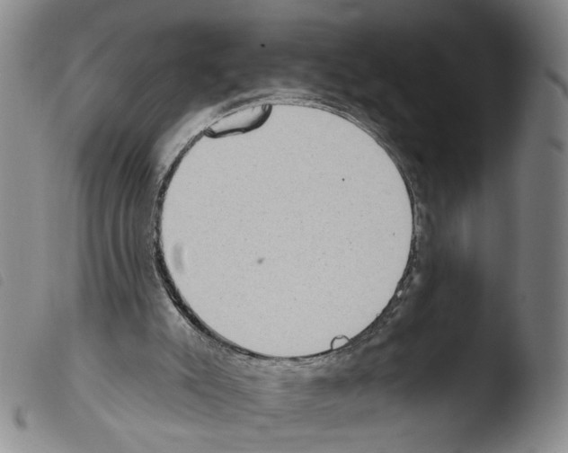 X0000103470007200810241025