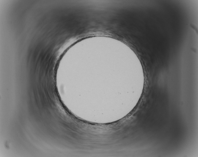 X0000103470008200810241025