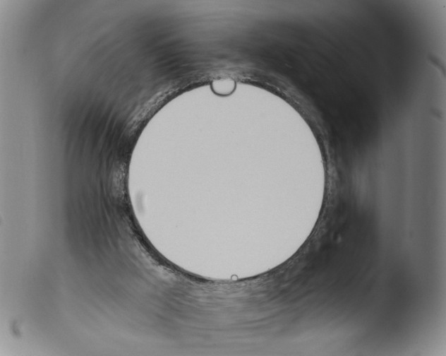 X0000103470009200810241025