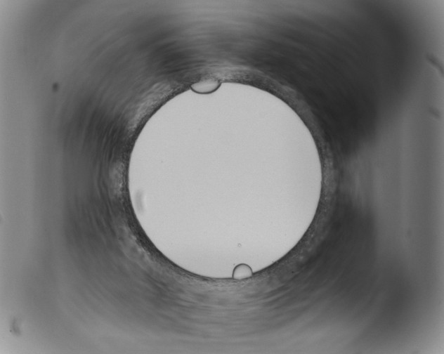 X0000103470010200810241025