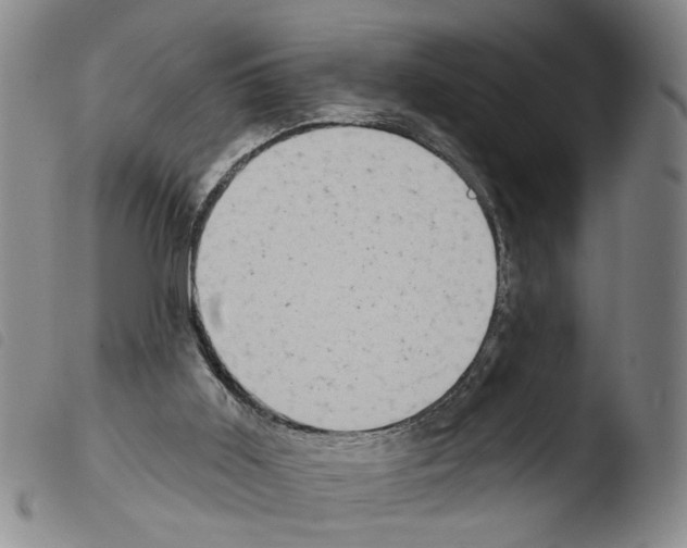 X0000103470011200810241025