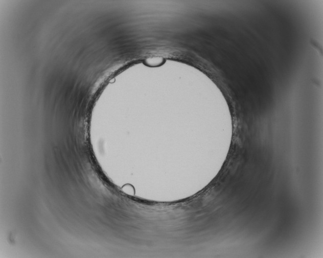 X0000103470012200810241025
