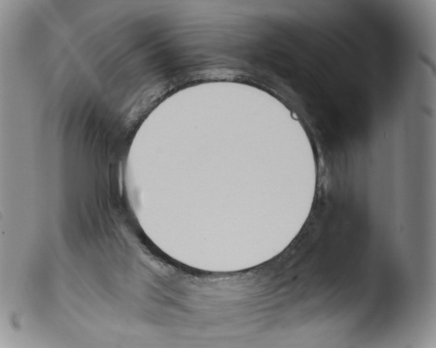 X0000103470013200810241025
