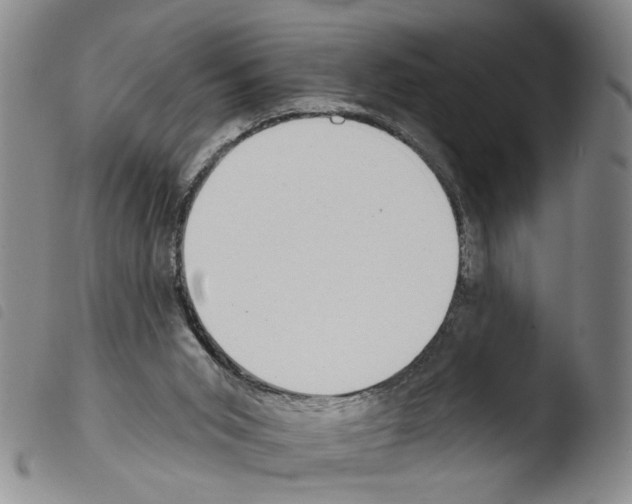 X0000103470015200810241025