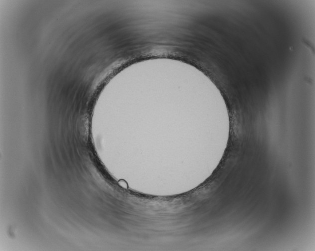 X0000103470016200810241025