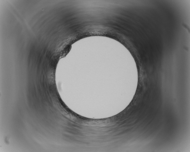 X0000103470017200810241025