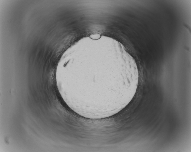 X0000103470018200810241025
