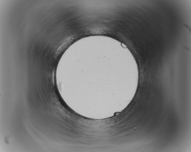 X0000103470019200810241025