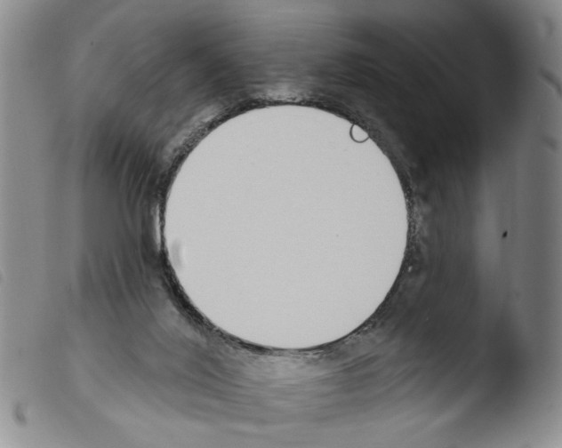 X0000103470020200810241025