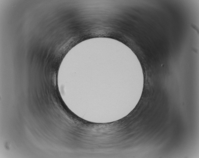 X0000103470021200810241025