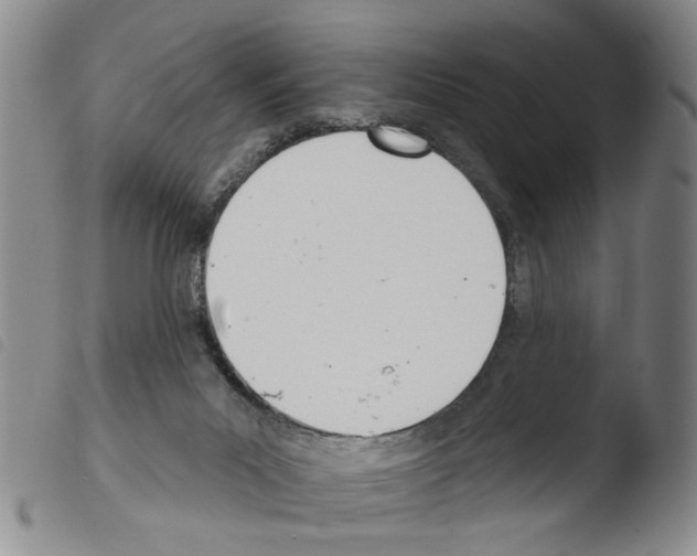 X0000103470023200810241025