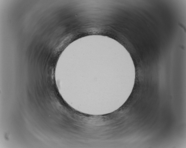 X0000103470024200810241025