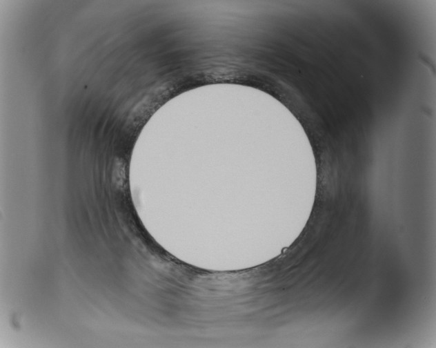 X0000103470025200810241025