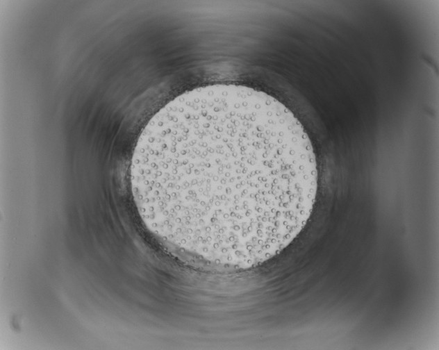 X0000103470026200810241025