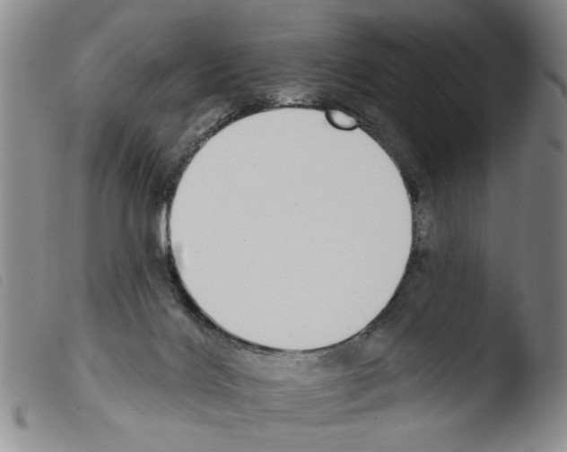 X0000103470028200810241025