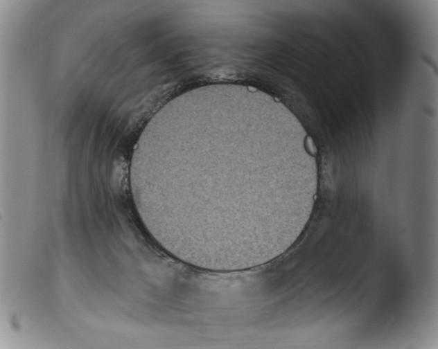 X0000103470029200810241025