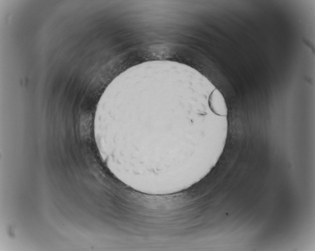 X0000103470030200810241025
