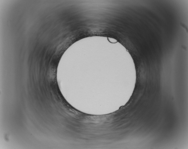 X0000103470033200810241025
