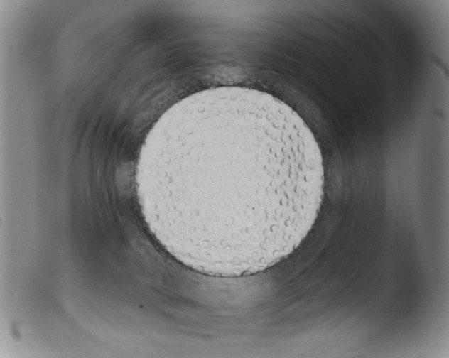 X0000103470034200810241025