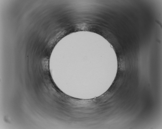 X0000103470036200810241025