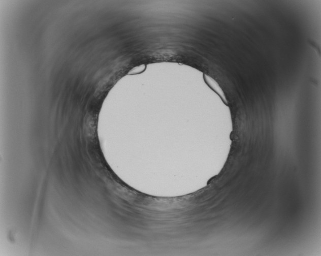 X0000103470037200810241025