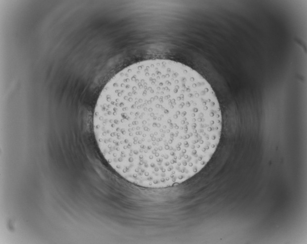 X0000103470038200810241025