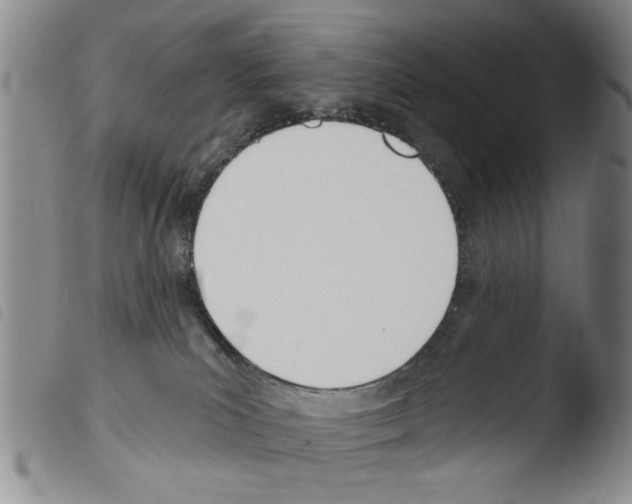 X0000103470039200810241025