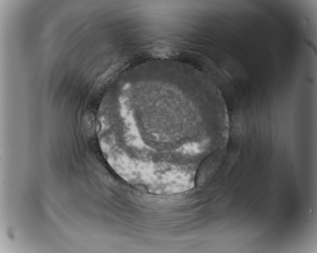 X0000103470043200810241025