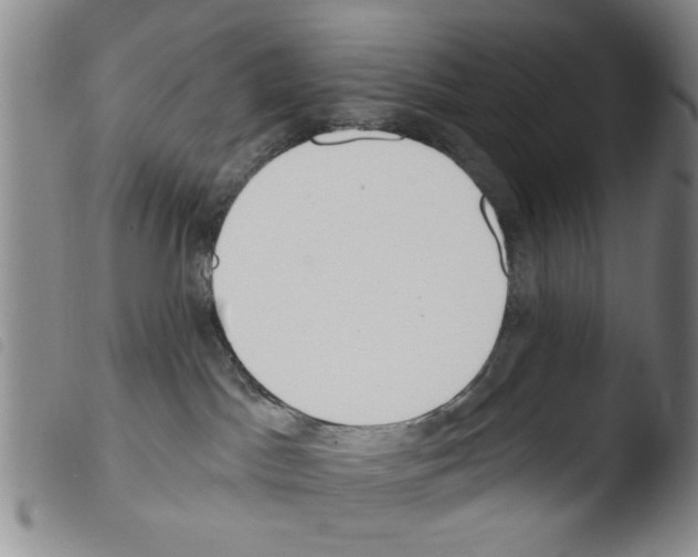 X0000103470045200810241025