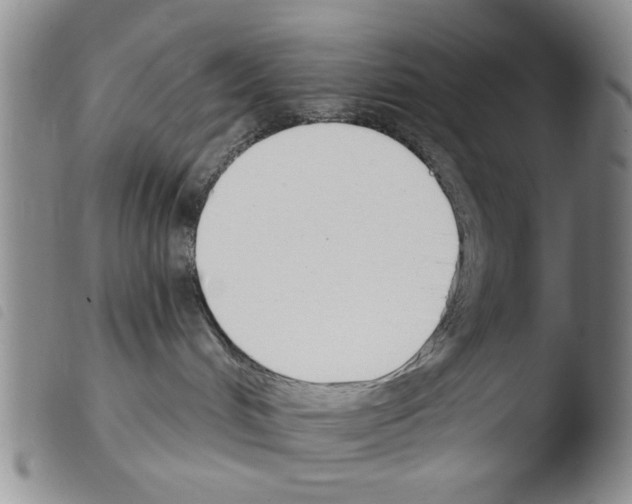 X0000103470048200810241025