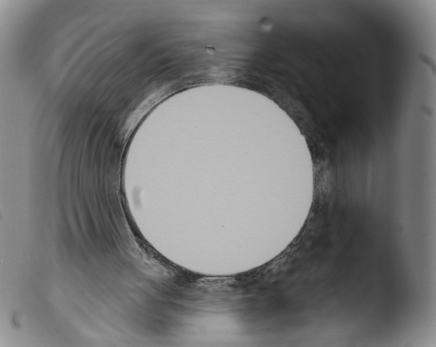 X0000103470051200810241024