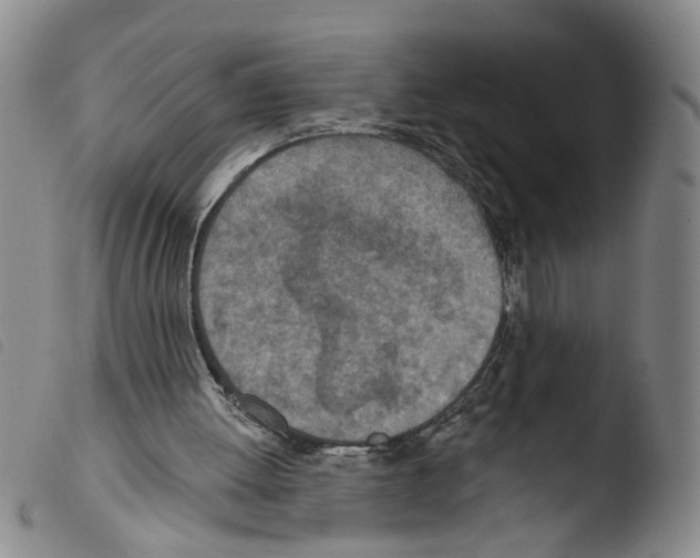 X0000103470052200810241024