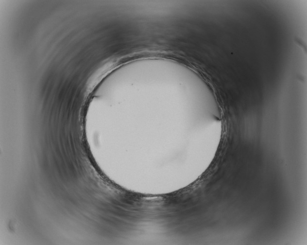 X0000103470053200810241024