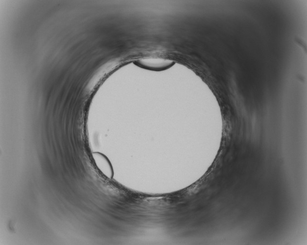 X0000103470054200810241024