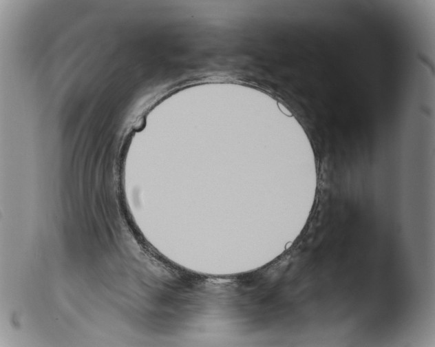 X0000103470055200810241024