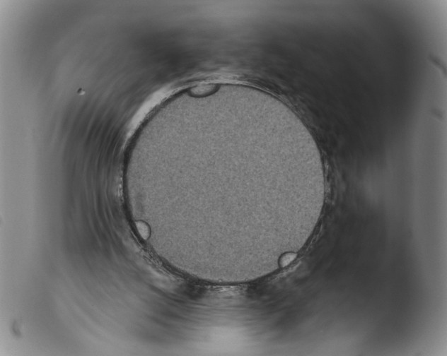 X0000103470056200810241024